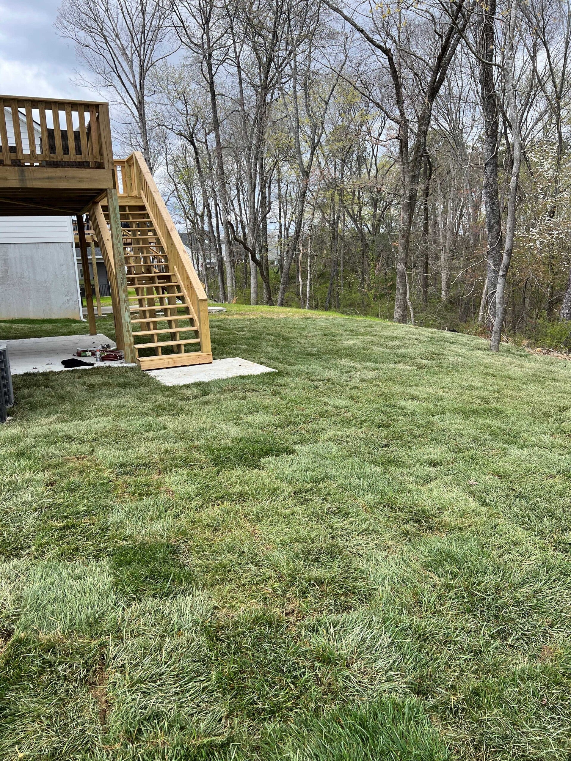 Sod Installation Project